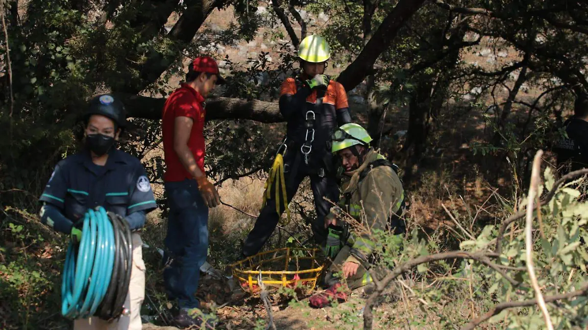 Muere al volcar su auto en Clavijero